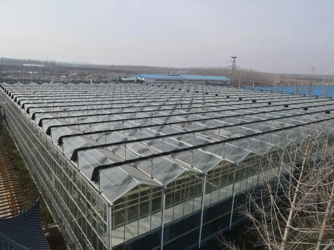 温室大棚的土建要求