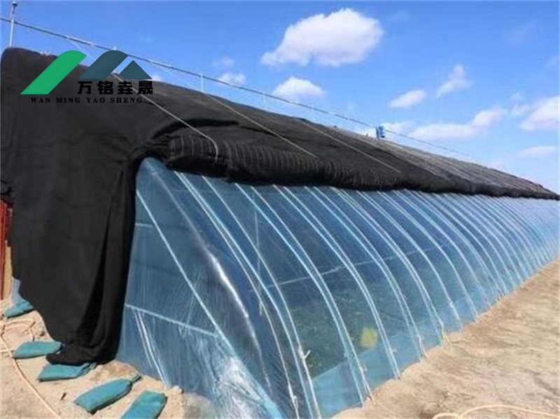 冬暖大棚